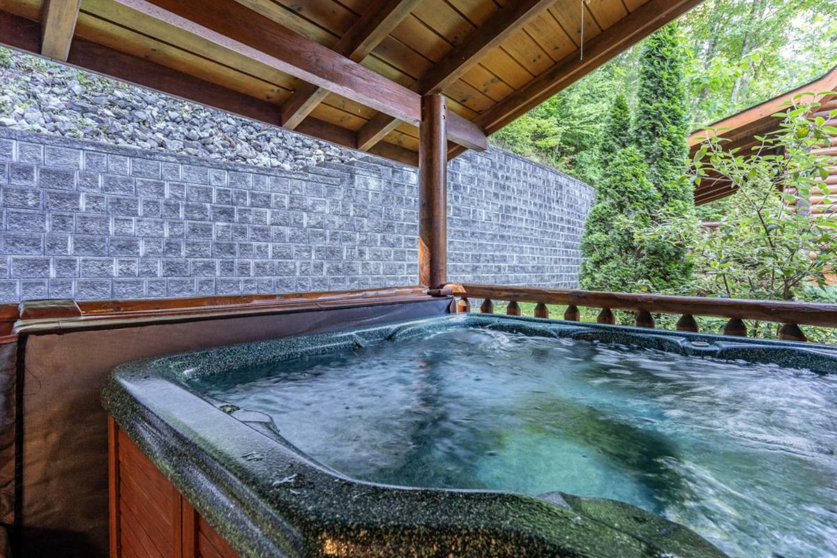 Bear Naked Villa Пиджен Фордж Екстериор снимка
